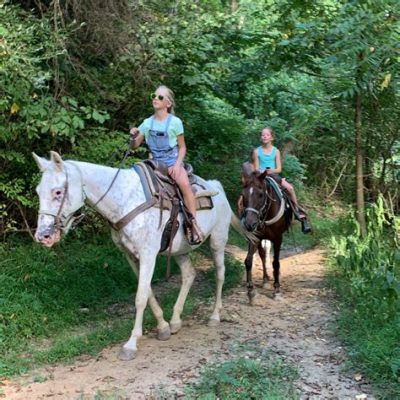 國內哪個景點騦馬最過癮？探秘最佳騎馬旅游目的地