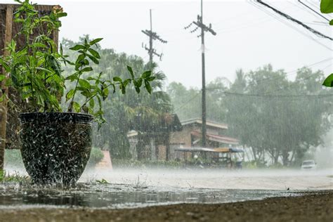 近期甲米天氣如何 如何在風雨交加中找到詩意